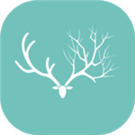 麋鹿森林app安卓版