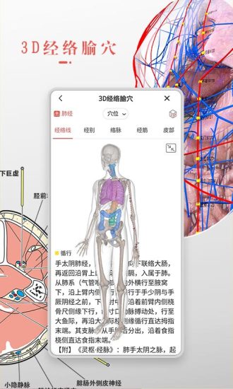 3Dbody解剖免费下载